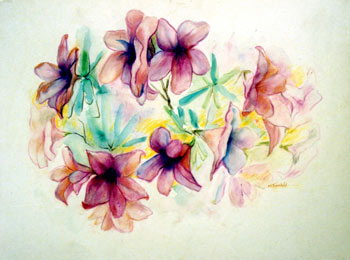 Pink Glory 129