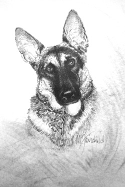 Lea (Dr. Richard Park's Dog) 267