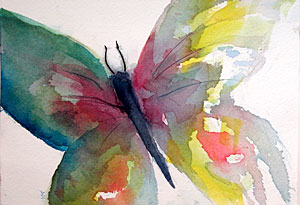 Papillon 323