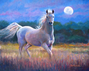 Moonlight Mare 364