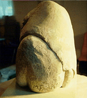 Swaddling (view 3) l S137