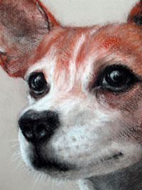 Spock (detail) 390