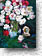 Peonies & Roses 342