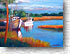 Safe Harbor 360
