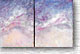 Sea Foam 369