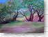Trees at The Ranch 409