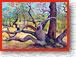 The Climbing Tree 387 