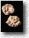 Seashells/Starfish S123 S124