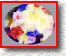 Late Bloomers 232