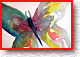 Papillon 323