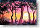 Setting Sun 324