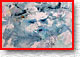 Jack Frost 326