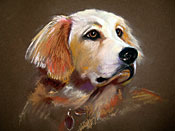 Franklin - Pastel Sketch - Dog Days Benefit at Earth Fare